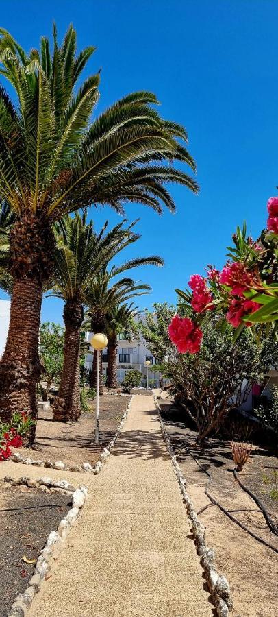 Casa Lucy Daire Costa De Antigua Dış mekan fotoğraf