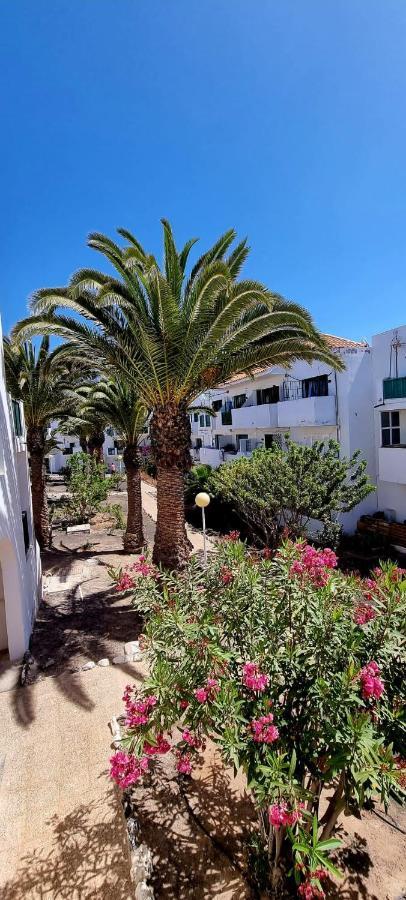 Casa Lucy Daire Costa De Antigua Dış mekan fotoğraf