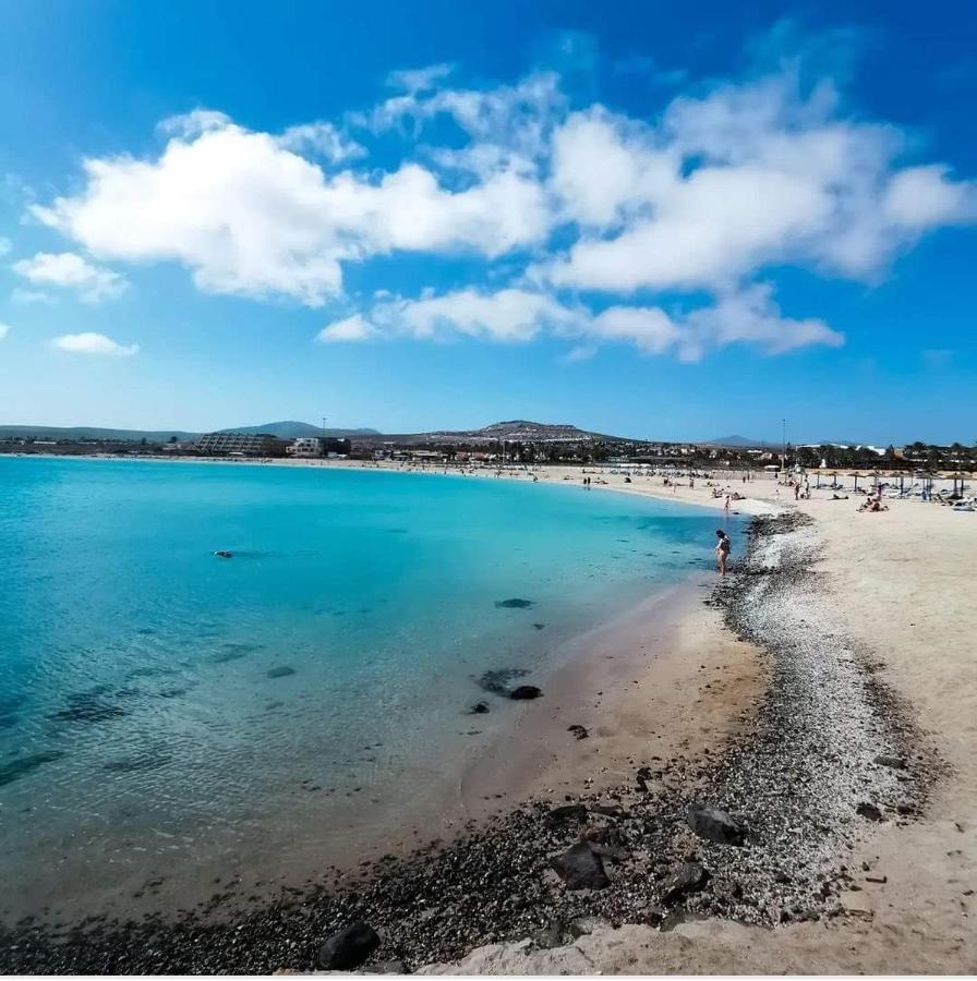 Casa Lucy Daire Costa De Antigua Dış mekan fotoğraf